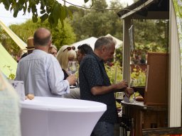 Festival Mar de Tethys 2026 - Bodega Vetas